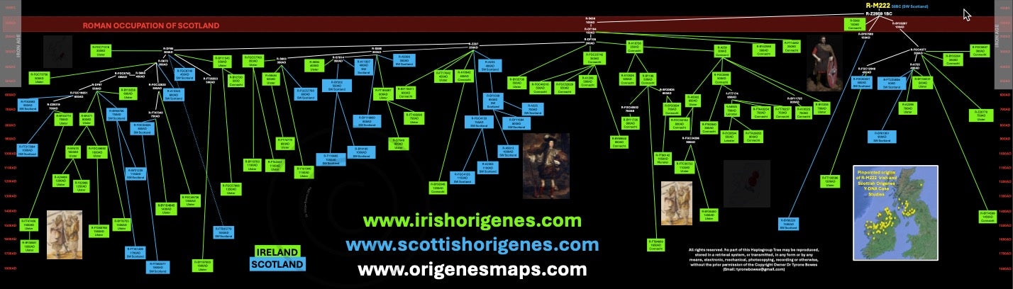 IrishOrigenes.com Irish Ancestry Genetic Mapping Haplotype R-M222 Poster