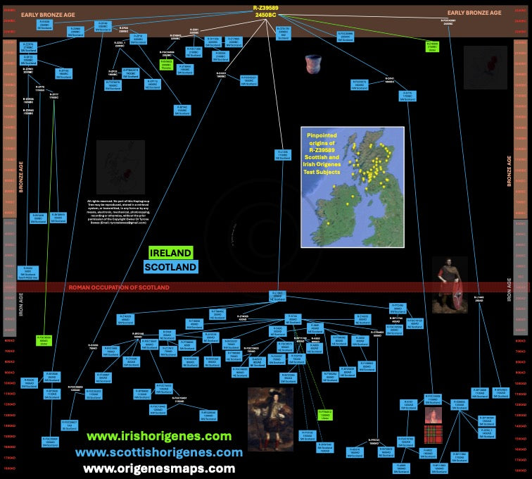 IrishOrigenes.com Irish Ancestry Genetic Mapping Haplotype R-Z39589 Poster
