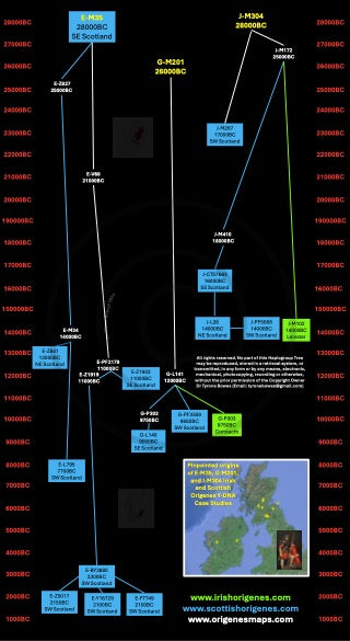 IrishOrigenes.com Irish Ancestry Genetic Mapping Haplotype E-M35_G-M201_J-M304 Poster