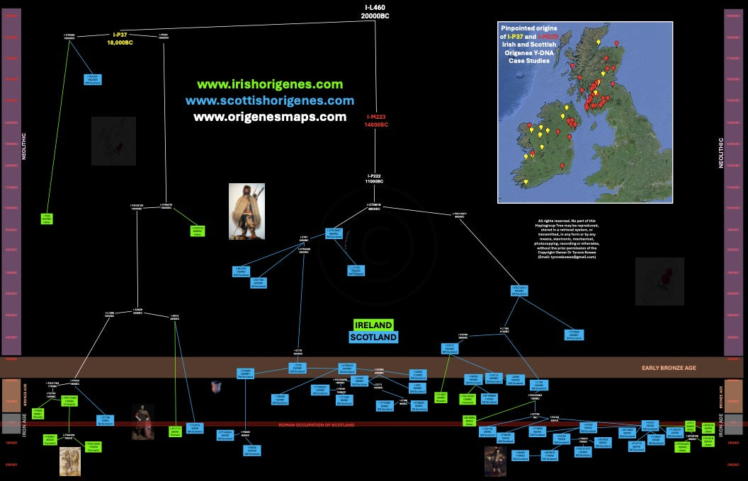 IrishOrigenes.com Irish Ancestry Genetic Mapping Haplotype I-M223 and I-P37 Poster