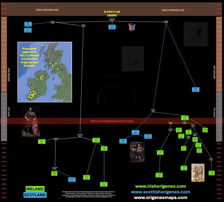 IrishOrigenes.com Irish Ancestry Genetic Mapping Haplotype R-FGC11134 Poster