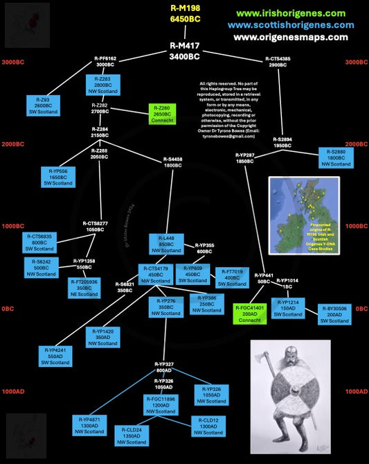 IrishOrigenes.com Irish Ancestry Genetic Mapping Haplotype R-M198 Poster